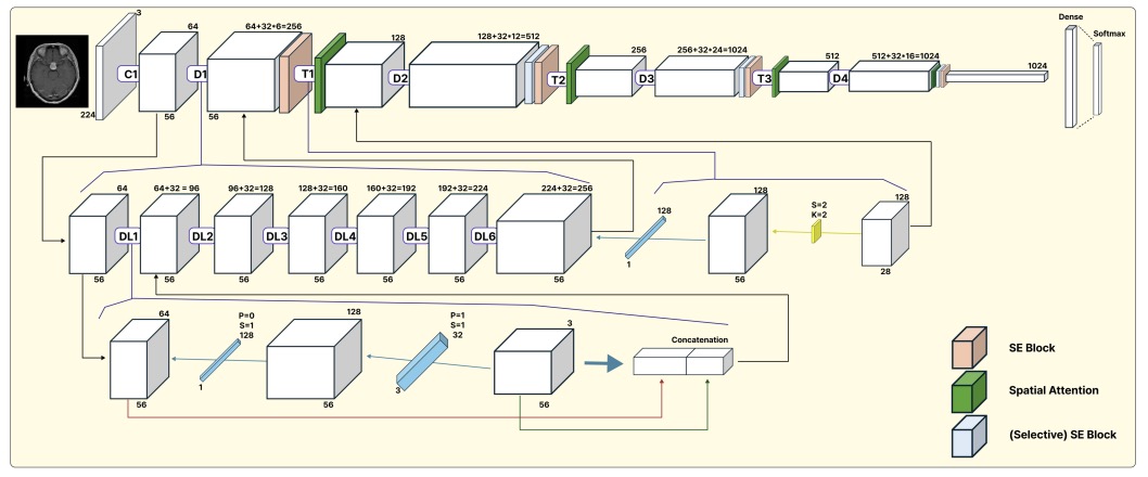Systematic Integration of Attention Modules into CNNs for Accurate and Generalizable Medical Image Diagnosis thumbnail